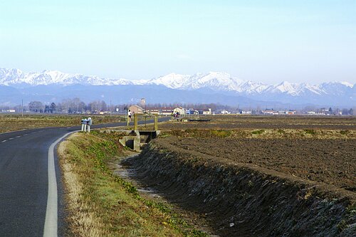 sangaudenzio27.01.08 178.jpg