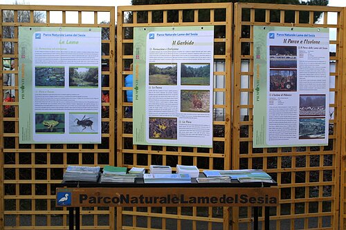 sangaudenzio27.01.08 040.jpg