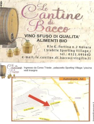 vino1 :
